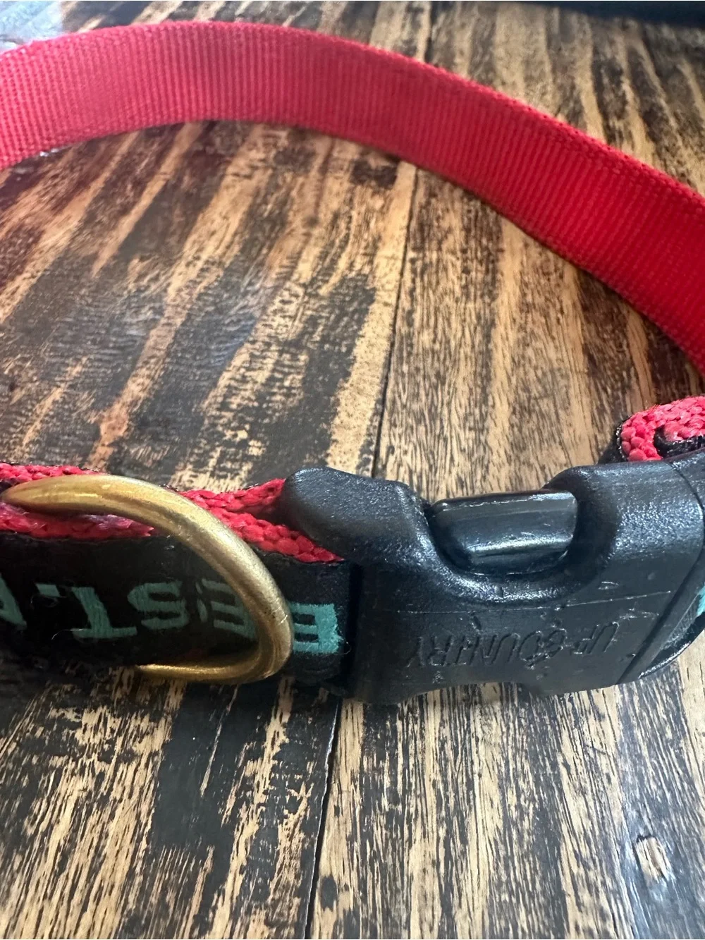 Vivacouture Black Collar with Teal Embroidered Text and Red Stitching